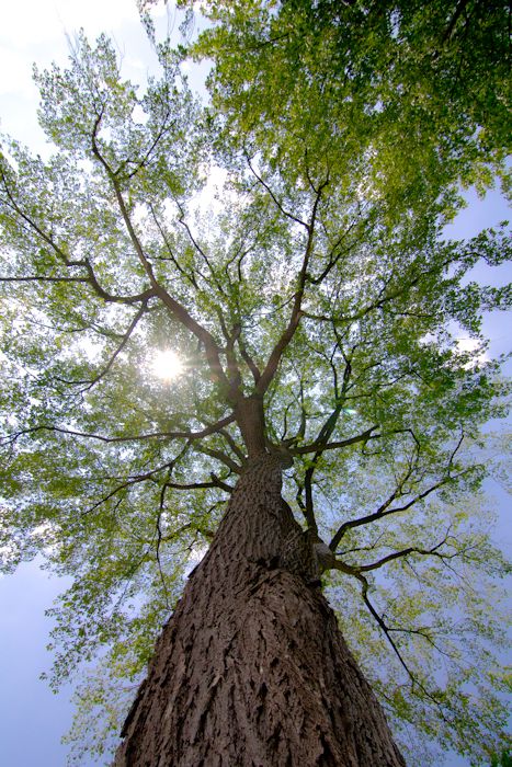  photo IMG_3704-19_zpsb113def0.jpg