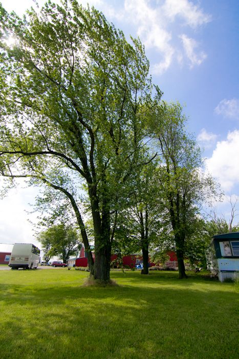  photo IMG_3830-14_zps61b94cc7.jpg