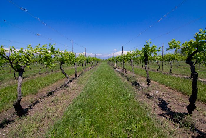  photo IMG_3876-23_zpsbfe8e721.jpg