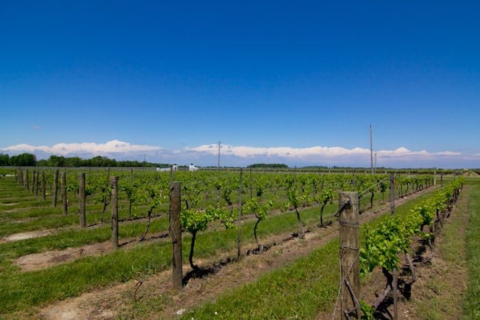  photo IMG_3877-24_zpsbc74fe9b.jpg