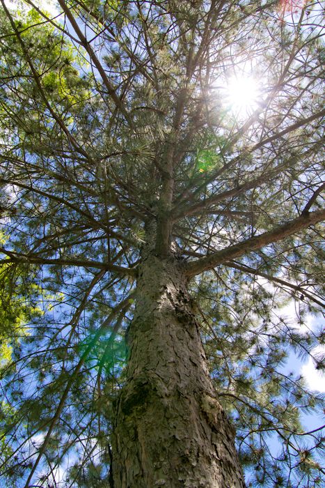  photo IMG_4093-1_zpsec4d21ef.jpg