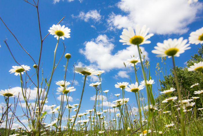  photo IMG_4109-2_zps5dbd5f72.jpg