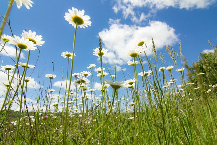  photo IMG_4113-4_zpsccabf2b3.jpg