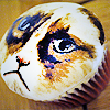 photo 4uFANqV_zps4d84caf0.png