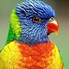 photo dr2RMSE_zps639e612e.jpg