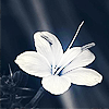 photo onu2WLE_zps51d2e9b5.png