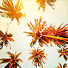 photo 2gsApH2_zps5e7048a5.png