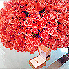 photo f5L52x6_zps33b5cb57.png