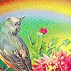 photo vVzNC0U_zpsea2827d2.jpg